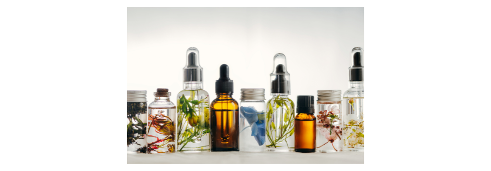 Image showcasing 10 Nontoxic Flea Repellent Methods | Holistic Vet Blend
