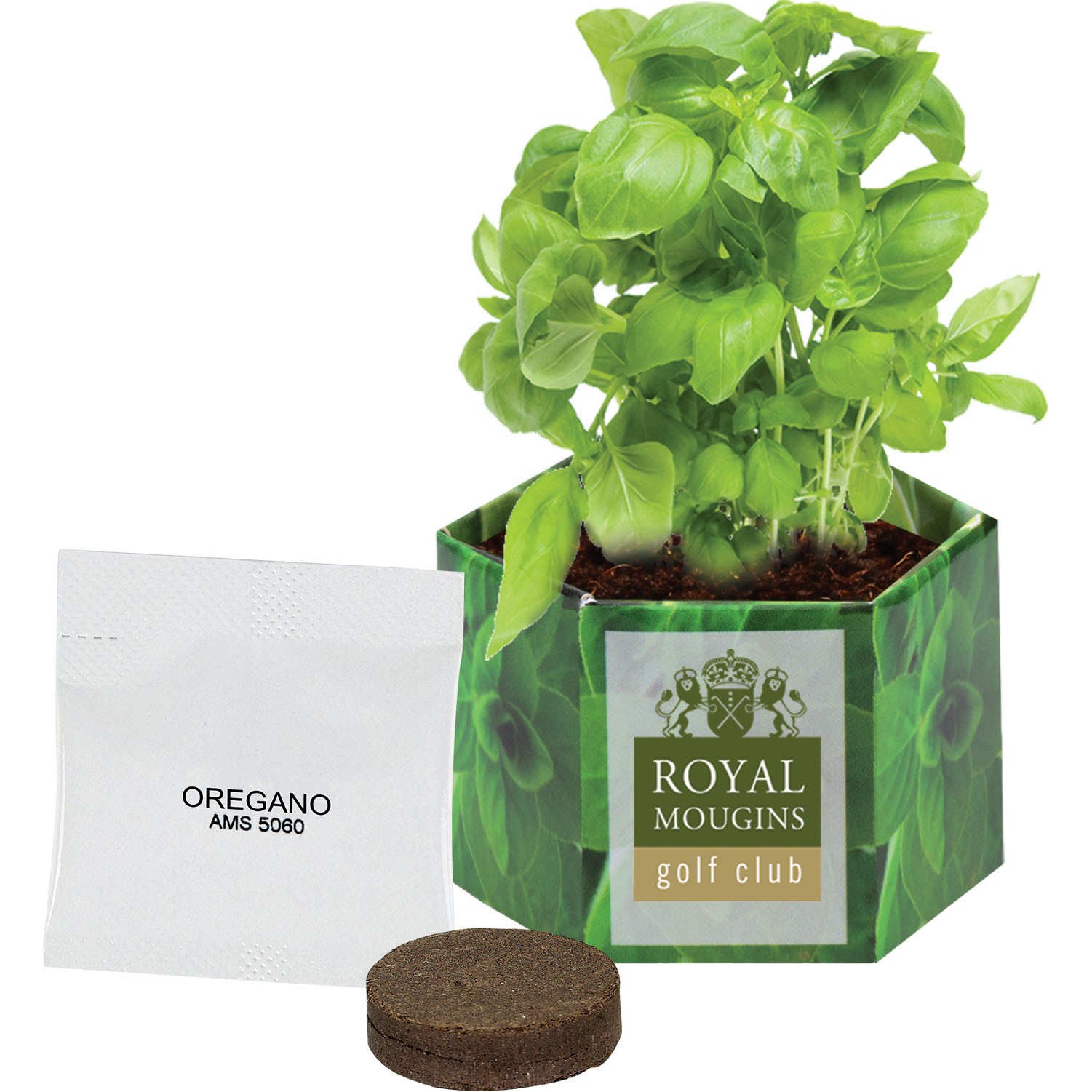Plant Kit