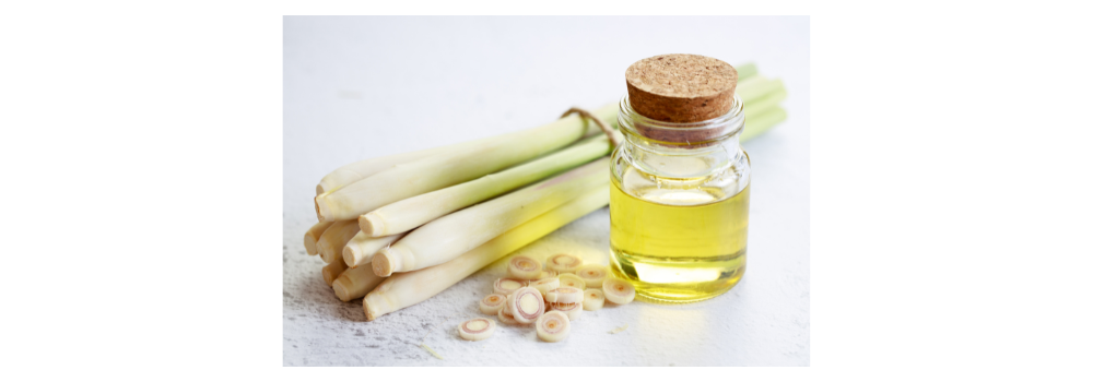 Photo inspiration: Flea Control Methods Using Lemongrass Oil For Indoor Cats Reference: 10 Nontoxic Flea Repellent Methods